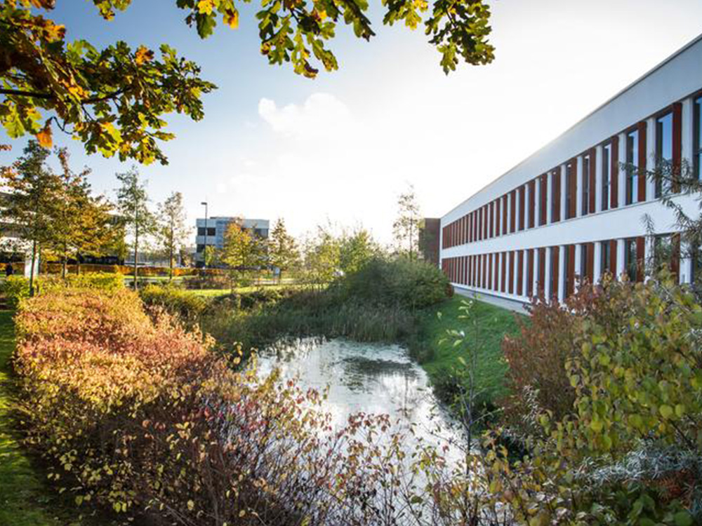 Thorpe Park is a dynamic business park with over 40 national and global firms, ranging from energy to IT companies.