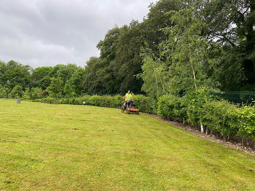 ibcc-grounds-maintenance-case-study-8