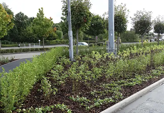 about-page-services-commercial-landscaping
