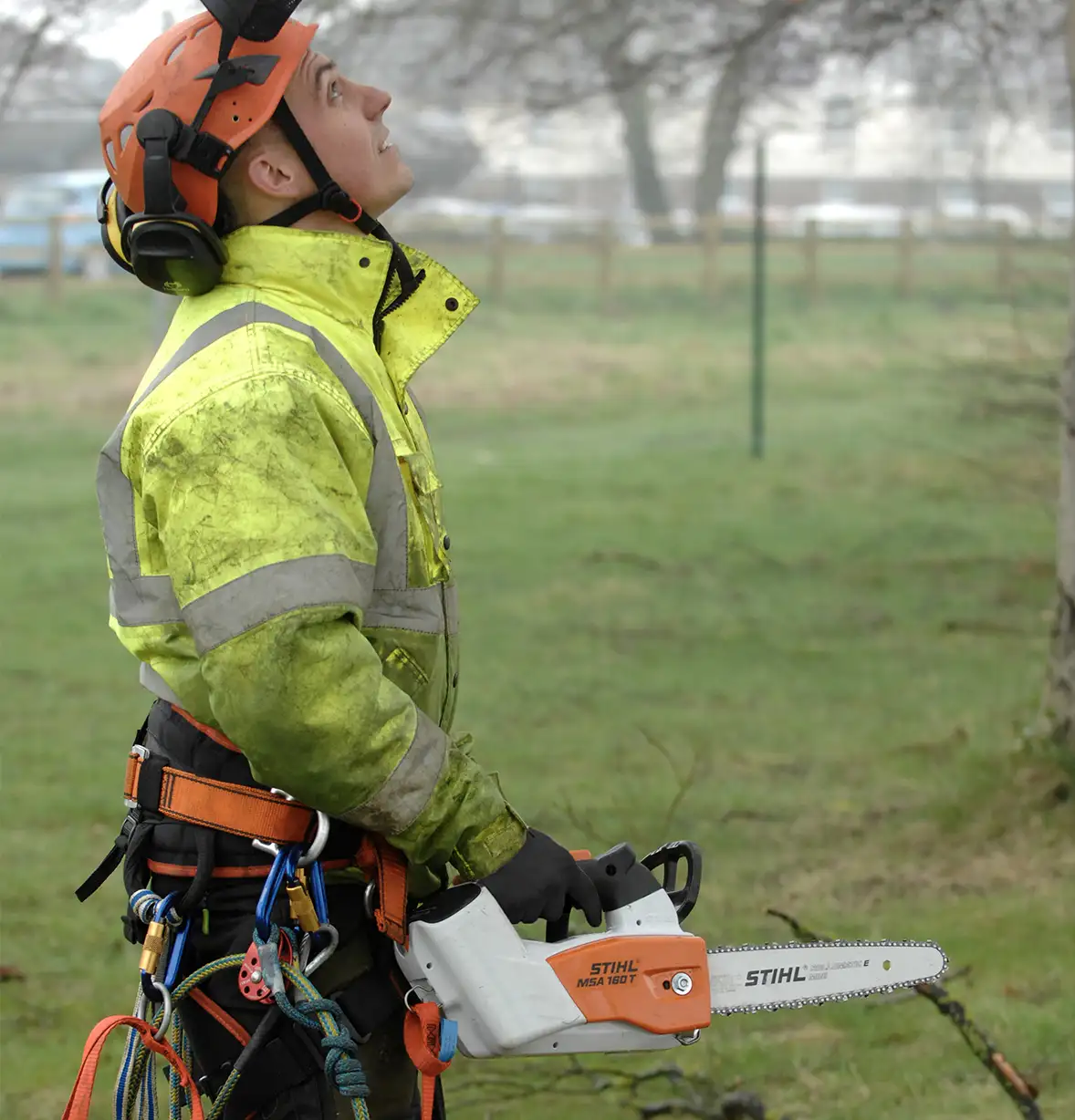 tree-care-11