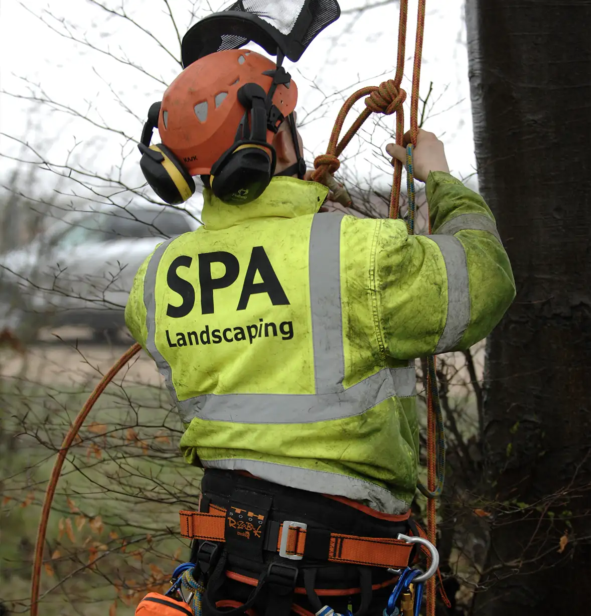 tree-care-16