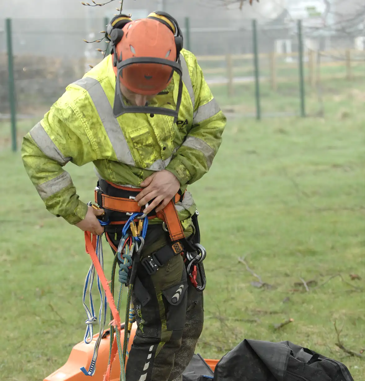 tree-care-2