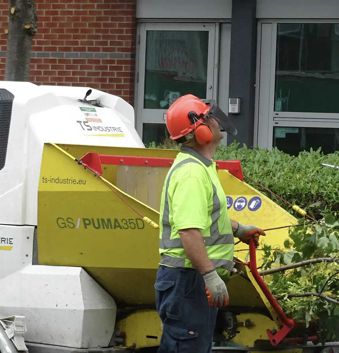 tree-care-6