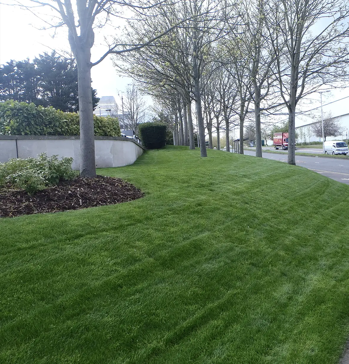 landscaping-7